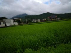 -阿苏山