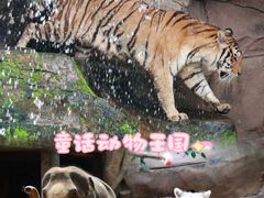 -长鹿旅游休博园