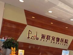 -派联宠物医院·24h·CT·异宠