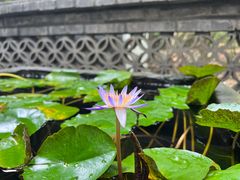 -王家渡火锅(三苏祠店)