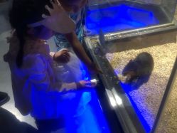 -未来动物城动物主题公园(大悦城店)