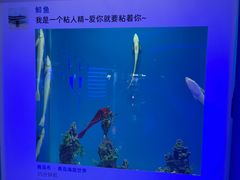 -青岛海底世界-水族馆