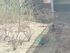 -太原动物园