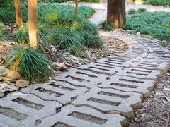 -徐家汇源景区-衡山公园