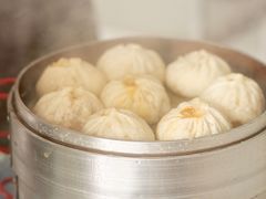 鲜肉小笼包-桐香园小笼包(百井坊巷店)
