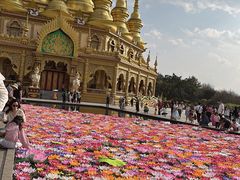 -西双版纳勐泐文化旅游区