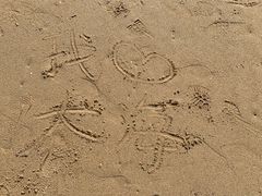 -青澳湾北回归线广场