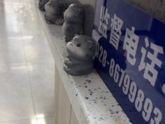 -半岛宠物医院24小时(白果林店)
