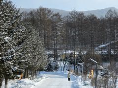 -横道河子东北虎林园