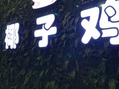 -南国锋味椰子鸡(瀚海店)