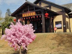 -崇阳三特浪口温泉