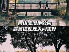 -西山漾湿地公园