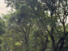 -月亮湾公园