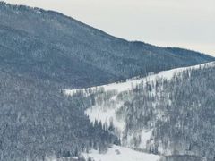 -塞罕坝国家级自然保护区