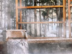 -汉拿山温泉度假酒店