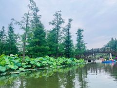 -同里国家湿地公园