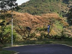 -黄埔油麻山森林公园