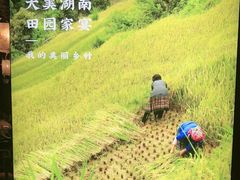 -湘邻呷铺·田园家宴(汉基广场店)