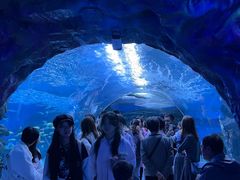 -海合安成都极地海洋公园