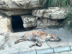 -北京野生动物园