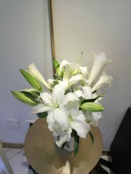 -S.HAIR SALON