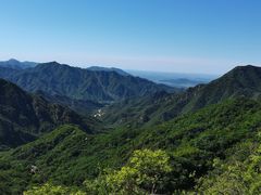 -大岭沟猕猴桃谷风景区