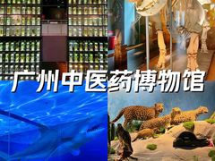 -广东省博物馆