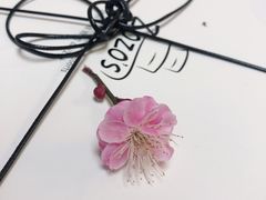 -ZOZO's昌左左精致甜品设计(新北店)