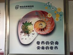 -青岛贝壳博物馆