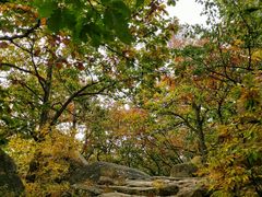 -天津盘山风景名胜区