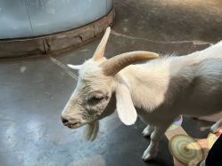 -Zoolung Zoolung动物主题公园(海信广场店)