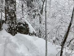 -安吉龙王山峡谷漂流