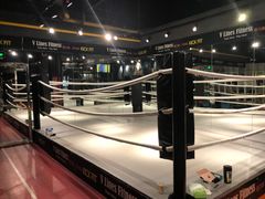 -VLines耀能运动24小时·月付制健身(京广桥店)