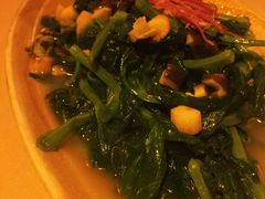 清炒豆苗-龙门阵茶屋川菜馆(武康路店)