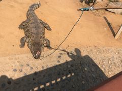 -石家庄市动物园