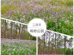 -将府公园
