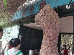-呀路古热带植物园