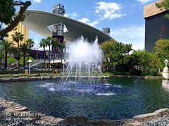 -拉斯维加斯永利酒店