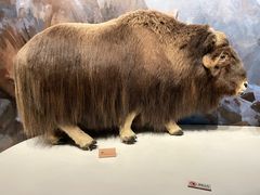 -陕西自然博物馆