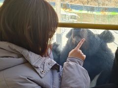 -栾川竹海野生动物园