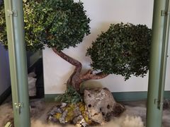 -潮上潮(南中环店)