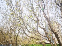 -元大都城垣遗址公园