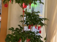 -沐森 •疗愈头疗馆(打浦桥店)