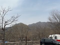 -天源渔港农庄