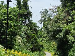 -青龙山国家森林公园