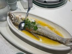 黄椒蒸翘嘴白鱼-羲和雅苑•北京烤鸭(陆家嘴中心店)