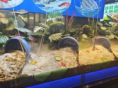 -千家粗粮王·火锅烧烤自助(庆阳店)