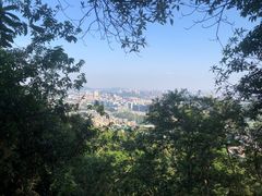 -火炉山森林公园