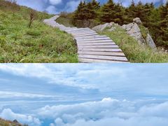 -白草畔自然风景区