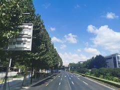 -BUS TOUR观光巴士